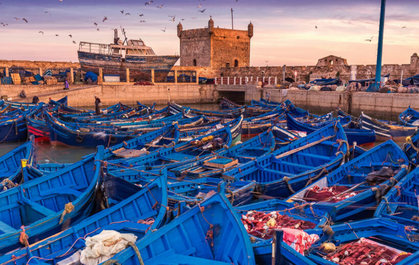 Excursion d’une journée à Essaouira depuis Marrakech
